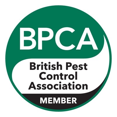 Dealey BPCA membership
